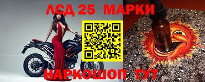 стаф Кохма