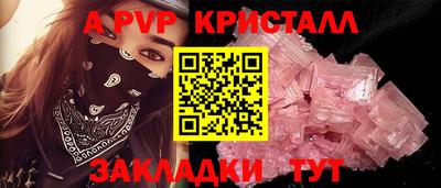 стаф Кохма